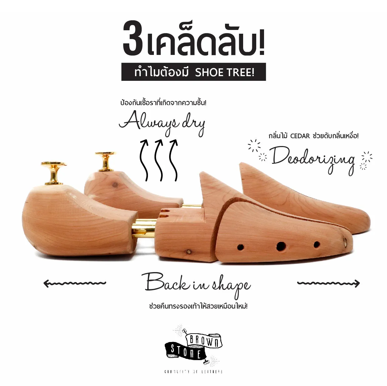 Brown Stone Cedar Shoe Trees