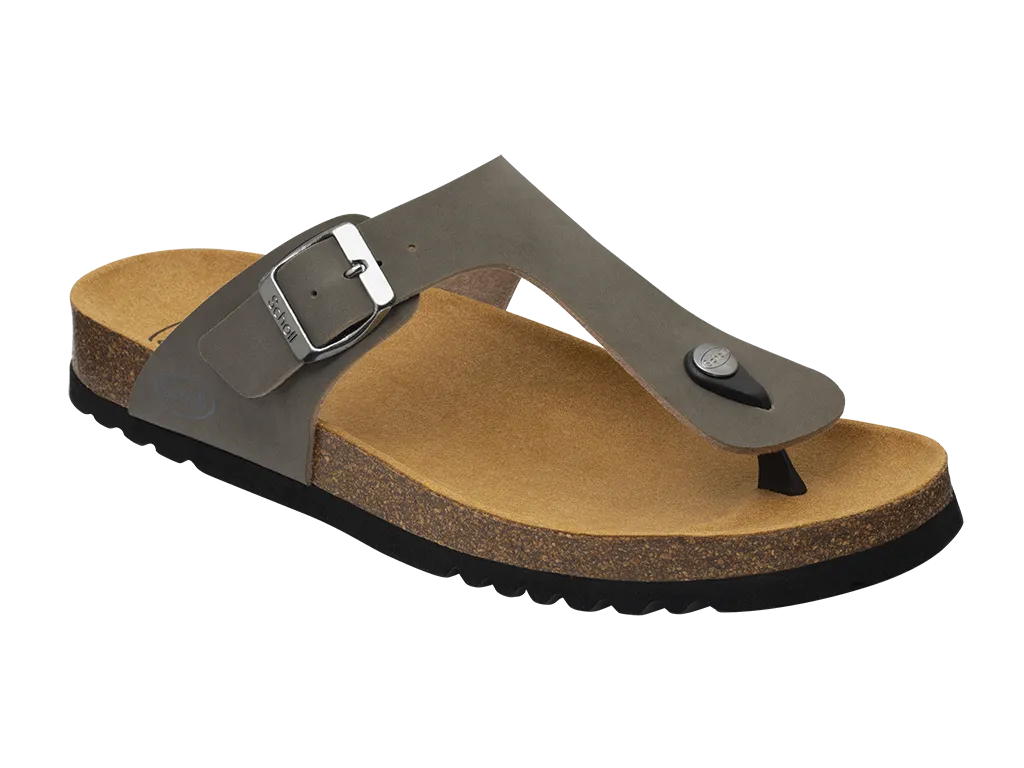 EVIS AD GREY